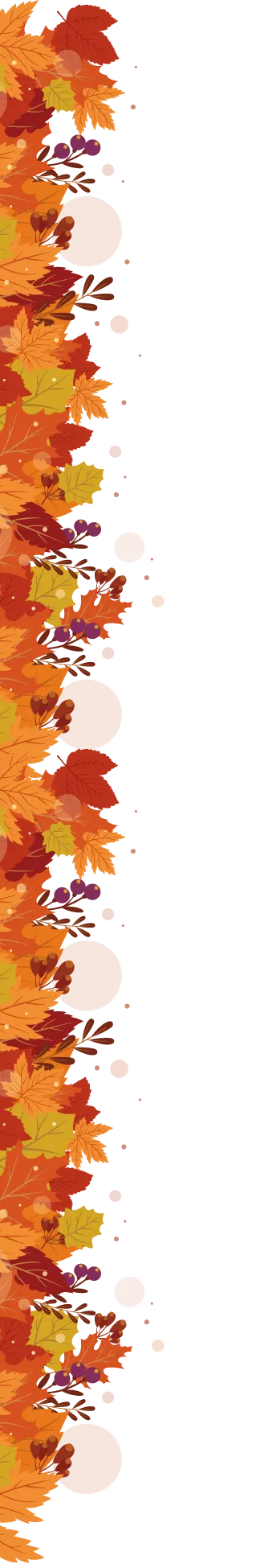 fondo